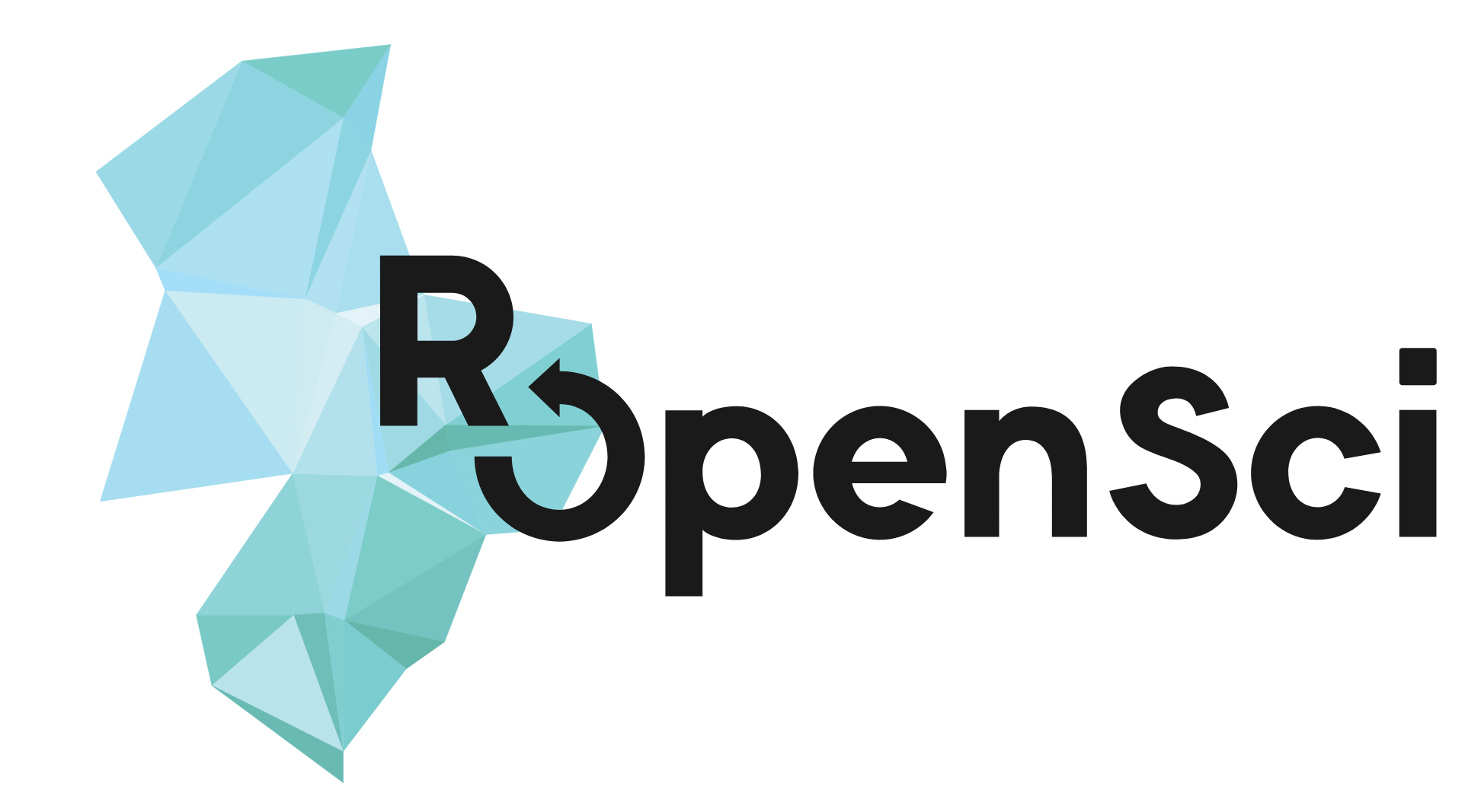 rOpenSci (Community partner) logo
